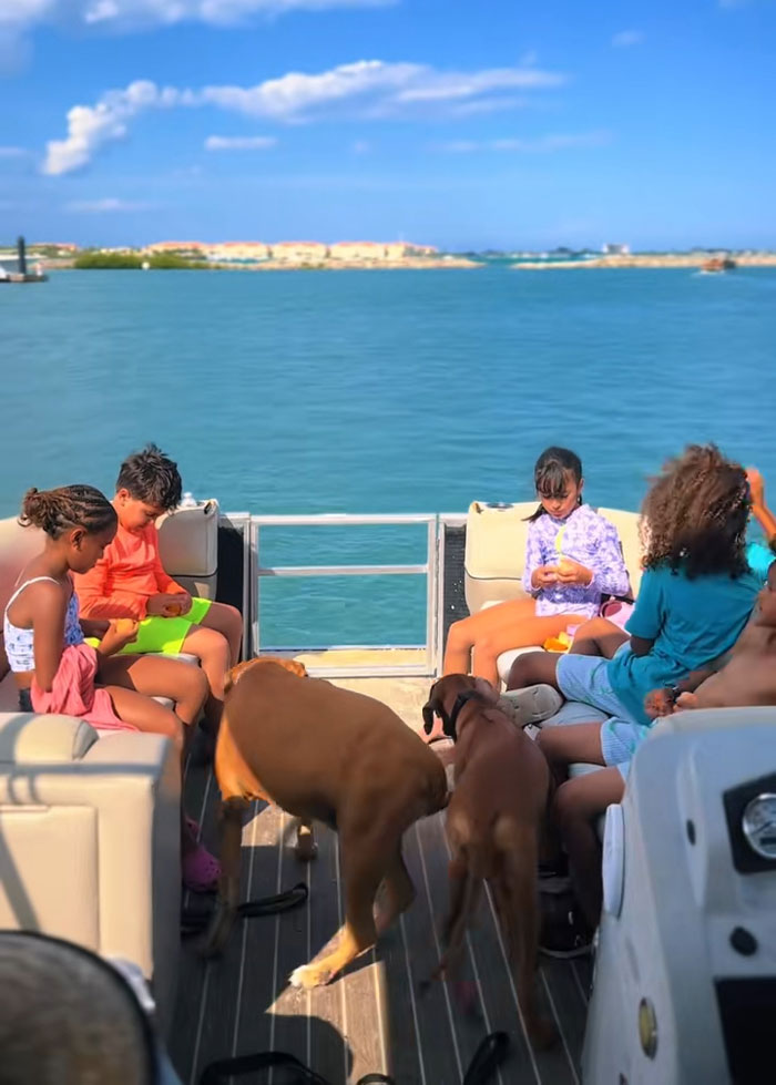 Kids spending their mornings on a boat with two dogs, enjoying the sunny weather on the water. Kids spending their mornings on a boat with two dogs, enjoying the sunny weather on the water.