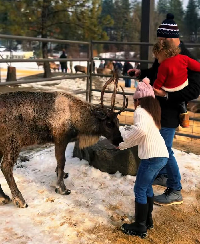 Kids spending mornings reading and exercising, interacting with a reindeer in a snowy enclosure with their mom. Kids spending mornings reading and exercising, interacting with a reindeer in a snowy enclosure with their mom.