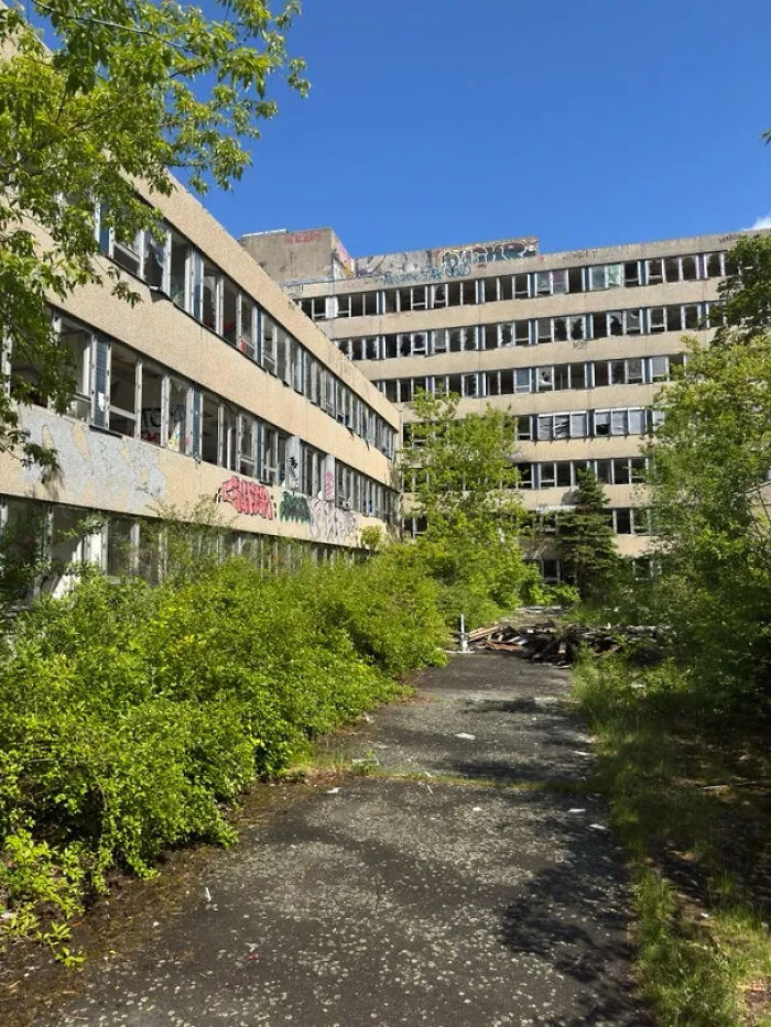 An overgrown path leading to a large, abandoned building with broken windows, ideal for urban exploration.