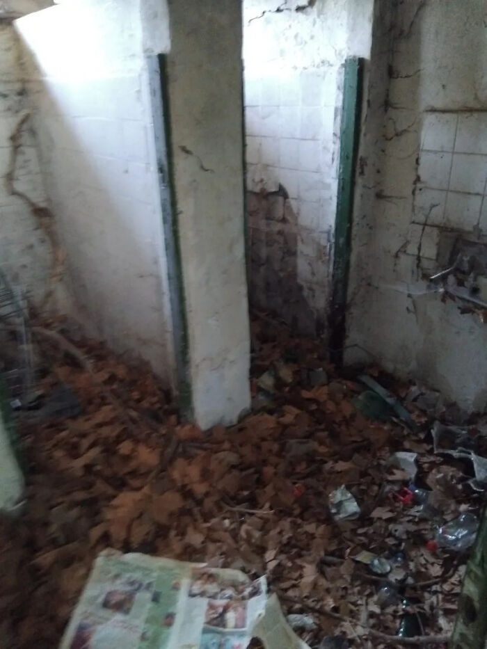 A dilapidated room with peeling paint and scattered leaves on the floor, showcasing an eerie urban exploration spot.