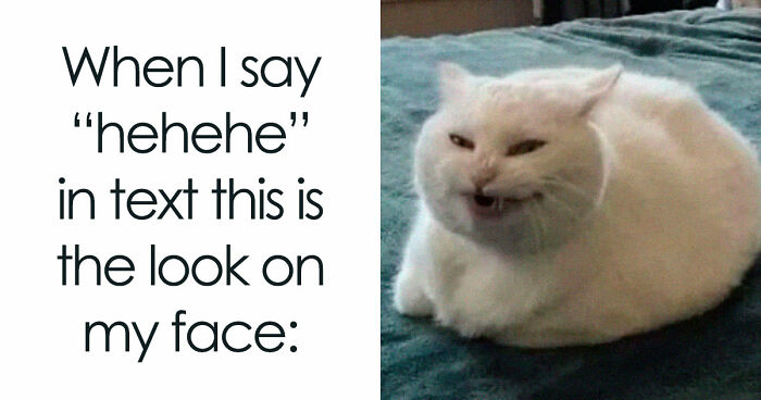 78 Memes For Anyone Who Stops Scrolling The Second An Animal Shows Up