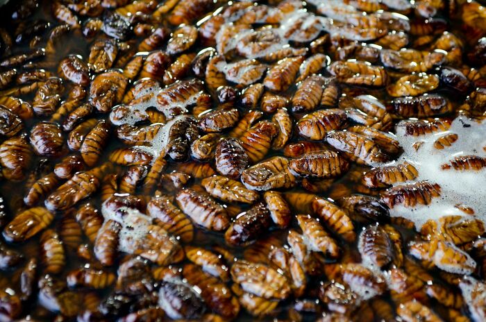 56 Bizarre Things Guests Found In Other People’s Homes That They Could Never Unsee