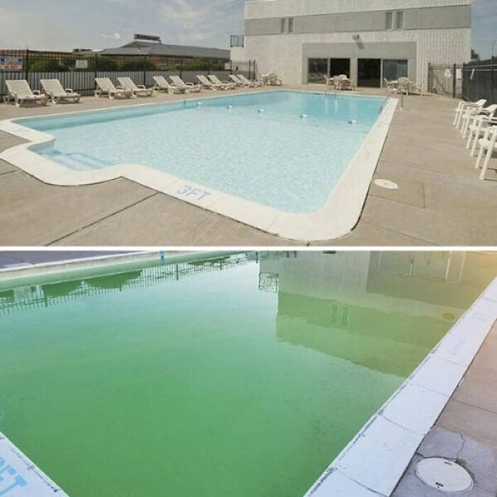 Airbnb listing of a pristine pool vs. the reality of a dirty, unkempt green pool.