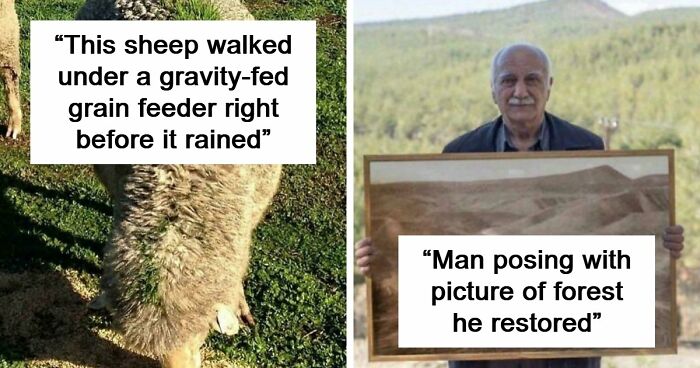 82 Amazing Photos That Might Brighten Your Day And Teach You Something New (New Pics)