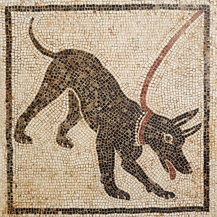 "Cave Canem" ("Beware Of Dog") Mosaic, House Of The Tragic Poet, Pompeii