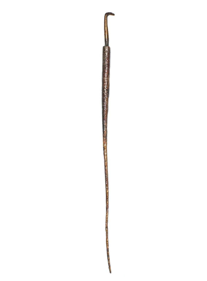 A long, slender, ancient bronzed historical artifact with a curved hook at one end, preserved against the odds.