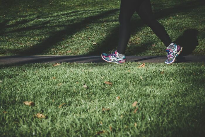 A person in athletic shoes walks on a path beside green grass. Interesting neighbors.