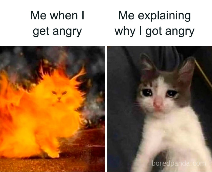 A meme queen post illustrating anger with a fiery cat and then explaining it with a sad cat, humorously showing emotional shifts.