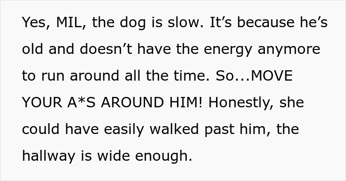 The narrator explains the senior dog is slow due to age, suggesting MIL could have moved around him, ending visits forever. The narrator explains the senior dog is slow due to age, suggesting MIL could have moved around him, ending visits forever.