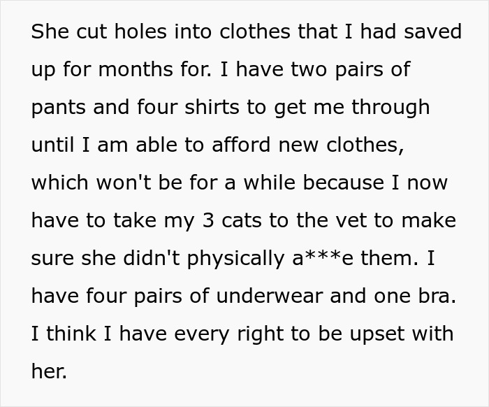 Text explaining how the woman's roommate destroyed her home and cut holes in her clothes, leaving her with minimal clothing and requiring vet visits for her cats after she trusted her roommate to watch them. Text explaining how the woman's roommate destroyed her home and cut holes in her clothes, leaving her with minimal clothing and requiring vet visits for her cats after she trusted her roommate to watch them.