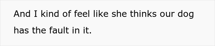 Screenshot of text where the author suspects MIL thinks their senior dog is at fault for the lack of grandchildren. Screenshot of text where the author suspects MIL thinks their senior dog is at fault for the lack of grandchildren.