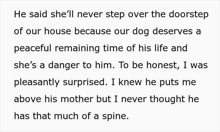 Text bubble detailing the husband's decision to ban MIL from their home for kicking their senior dog. Text bubble detailing the husband's decision to ban MIL from their home for kicking their senior dog.
