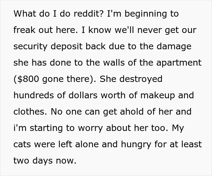 A woman asks Reddit for advice on her destroyed home, worrying about her cats and lost security deposit. A woman asks Reddit for advice on her destroyed home, worrying about her cats and lost security deposit.