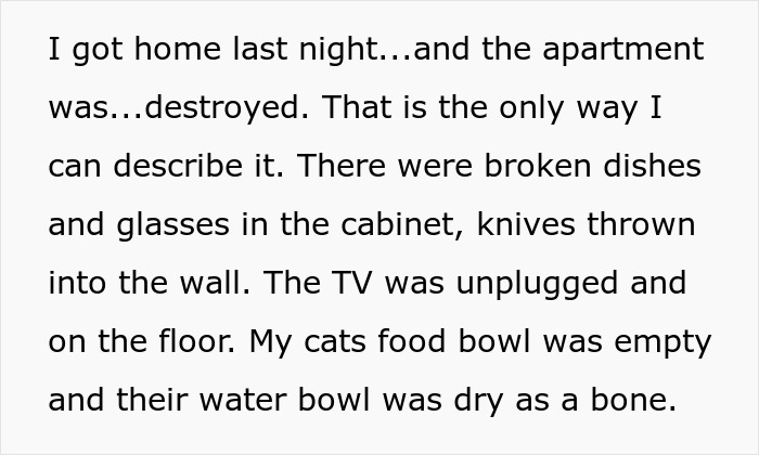 Text describing the destroyed home: broken dishes, knives in the wall, unplugged TV, and neglected cats. Text describing the destroyed home: broken dishes, knives in the wall, unplugged TV, and neglected cats.