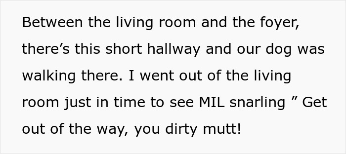 Text snippet: Between the living room and the foyer, there's this short hallway and our dog was walking there. I went out of the living room just in time to see MIL snarling Get out of the way, you dirty mutt! Text snippet: Between the living room and the foyer, there's this short hallway and our dog was walking there. I went out of the living room just in time to see MIL snarling Get out of the way, you dirty mutt!