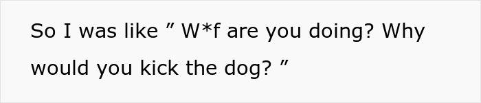 Questioning why the MIL would kick a senior dog. The MIL ends her visits forever after this incident. Questioning why the MIL would kick a senior dog. The MIL ends her visits forever after this incident.