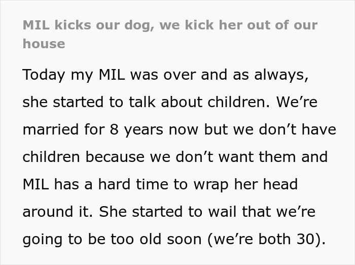 Screenshot of text about MIL demanding grandchildren and the dramatic end to her visits due to kicking a senior dog. Screenshot of text about MIL demanding grandchildren and the dramatic end to her visits due to kicking a senior dog.
