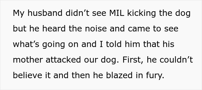 Text describing husband's fury upon learning his MIL kicked the senior dog, illustrating the impact of a demanding MIL. Text describing husband's fury upon learning his MIL kicked the senior dog, illustrating the impact of a demanding MIL.