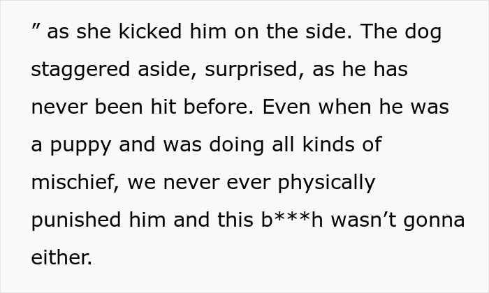 The MIL kicks a senior dog, causing it to stagger. The dog had never been hit before. Ends visits forever. The MIL kicks a senior dog, causing it to stagger. The dog had never been hit before. Ends visits forever.