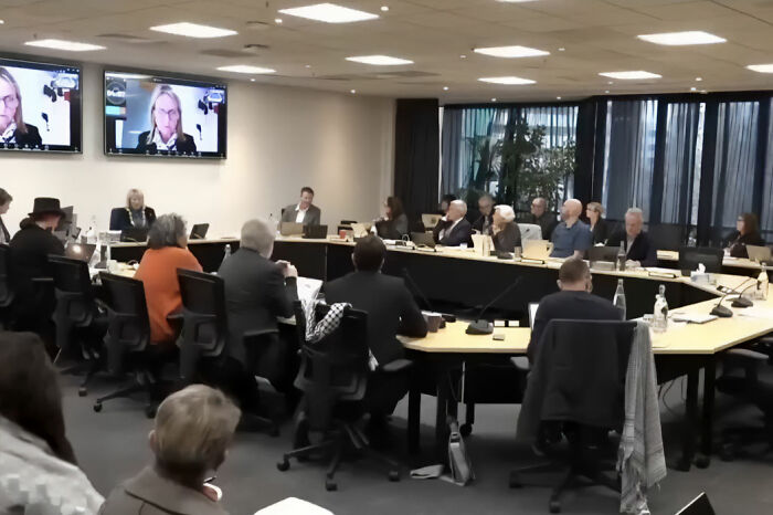 A politician caught in awkward scandal during a livestreamed meeting, her background visible on screen. A politician caught in awkward scandal during a livestreamed meeting, her background visible on screen.