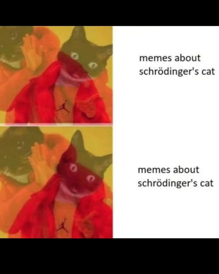 Funny memes about Schrödingers cat, showing a layered cat image, for people who dont take science too seriously.