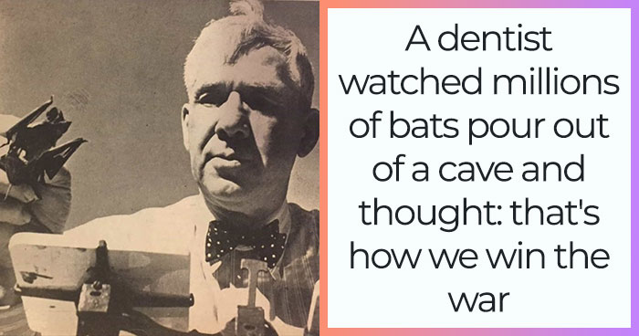 Before Cyborg Cockroaches, One Dentist Wanted To Bomb Japan With Bats
