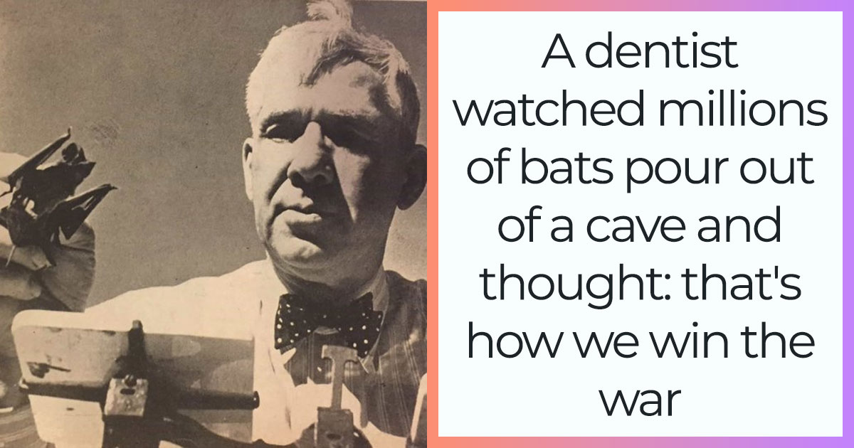 Bat Bombs: The Unbelievable WWII Superweapon That Almost Happened, But Never Would Have Worked