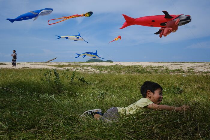 A boy lies in tall grass on a beach with various animal-shaped kites flying above, a street photo from the Macadam Awards.