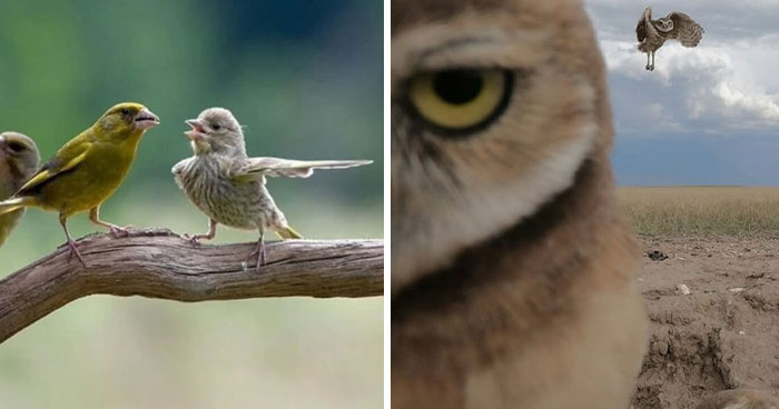 106 Photos That Look Like They’re Fake But People Actually Took Them