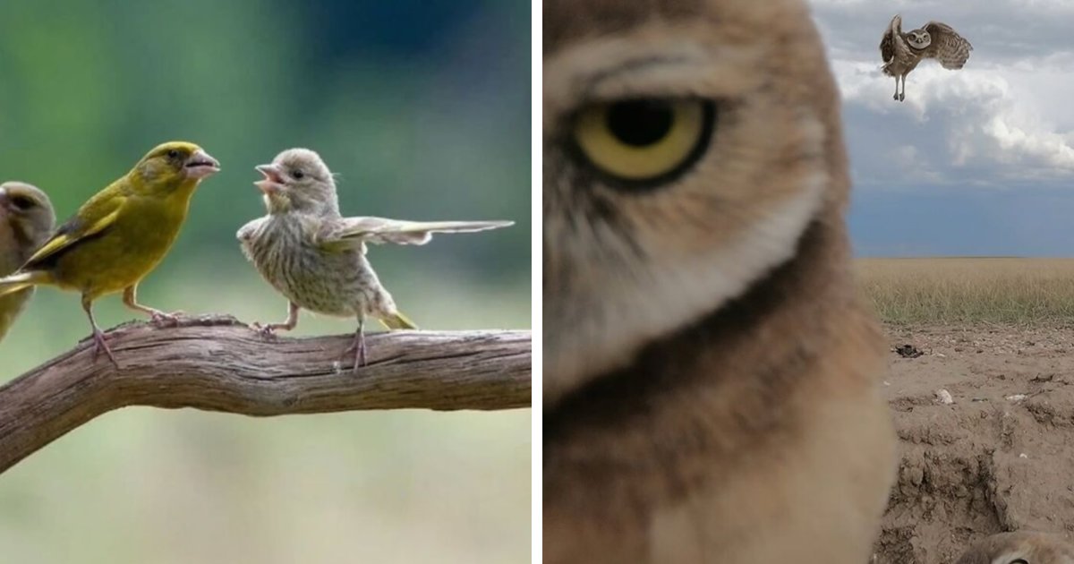 106 Photos That Look Like They’re Fake But People Actually Took Them
