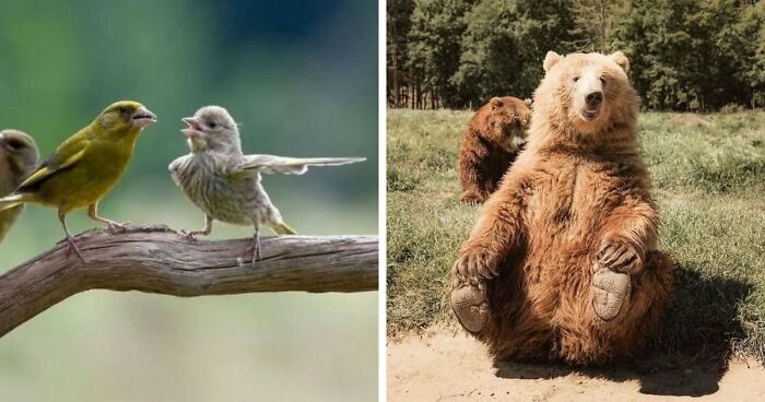 106 Times Photographers Were In The Right Place At The Perfect Moment