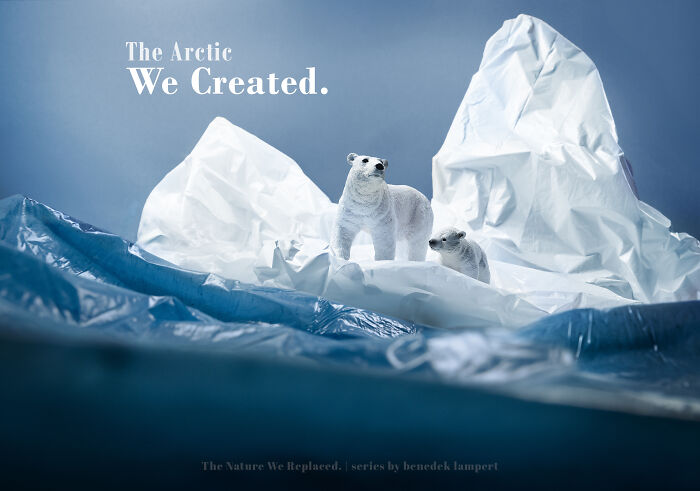 Miniature habitat for endangered animals: Polar bears on plastic icebergs, depicting how waste is harming their habitat. Miniature habitat for endangered animals: Polar bears on plastic icebergs, depicting how waste is harming their habitat.
