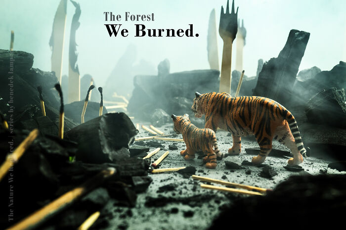 Miniature habitat showing endangered animals: A tiger and cub in a burnt forest, highlighting the impact of waste. Miniature habitat showing endangered animals: A tiger and cub in a burnt forest, highlighting the impact of waste.