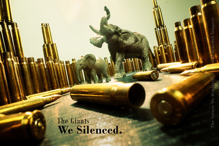 Miniature habitat with elephants surrounded by bullet casings, symbolizing industry endangering animals. Miniature habitat with elephants surrounded by bullet casings, symbolizing industry endangering animals.