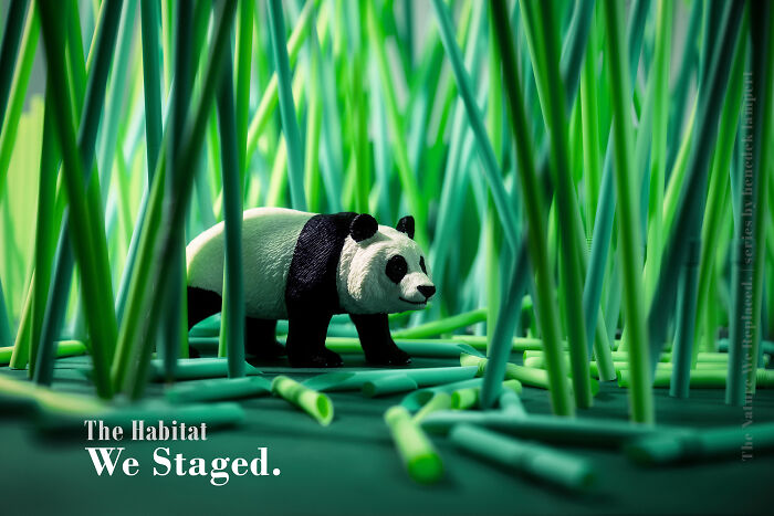 Miniature habitat with a panda endangered by waste and industry, highlighting animal endangerment. Miniature habitat with a panda endangered by waste and industry, highlighting animal endangerment.