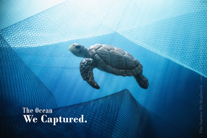 Miniature habitat showing a toy turtle trapped in fishing nets, highlighting waste endangering animals. Miniature habitat showing a toy turtle trapped in fishing nets, highlighting waste endangering animals.