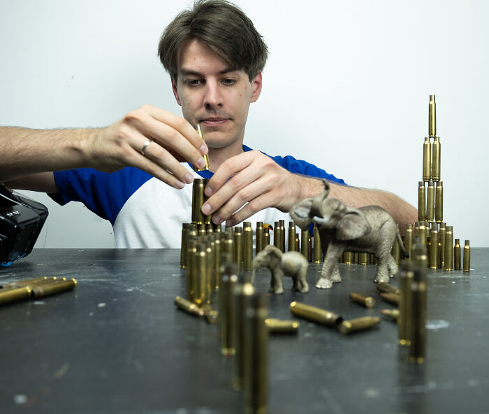 Photographer creating a miniature habitat of bullet casings around elephants, showing industry endangering animals. Photographer creating a miniature habitat of bullet casings around elephants, showing industry endangering animals.