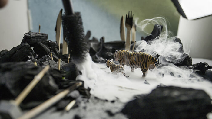Behind-the-scenes of a miniature habitat: smoke effects surround a tiger and cub, illustrating waste and endangered animals. Behind-the-scenes of a miniature habitat: smoke effects surround a tiger and cub, illustrating waste and endangered animals.