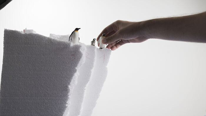 A hand placing miniature penguins on a foam habitat, showing how waste and industry are endangering animals. A hand placing miniature penguins on a foam habitat, showing how waste and industry are endangering animals.