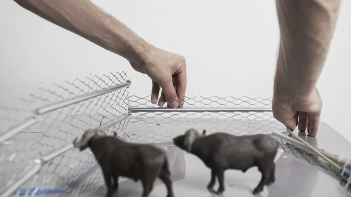 A photographer arranges miniature habitats for animals, focusing on how waste and industry are endangering them. A photographer arranges miniature habitats for animals, focusing on how waste and industry are endangering them.
