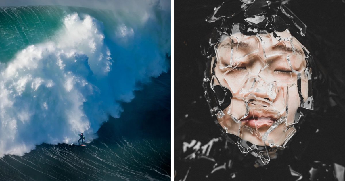 boredpanda.com - Community Panda - A Stunning Look At The World Through The Eyes Of The 2026 European Photography Awards Winners (23 Pics)