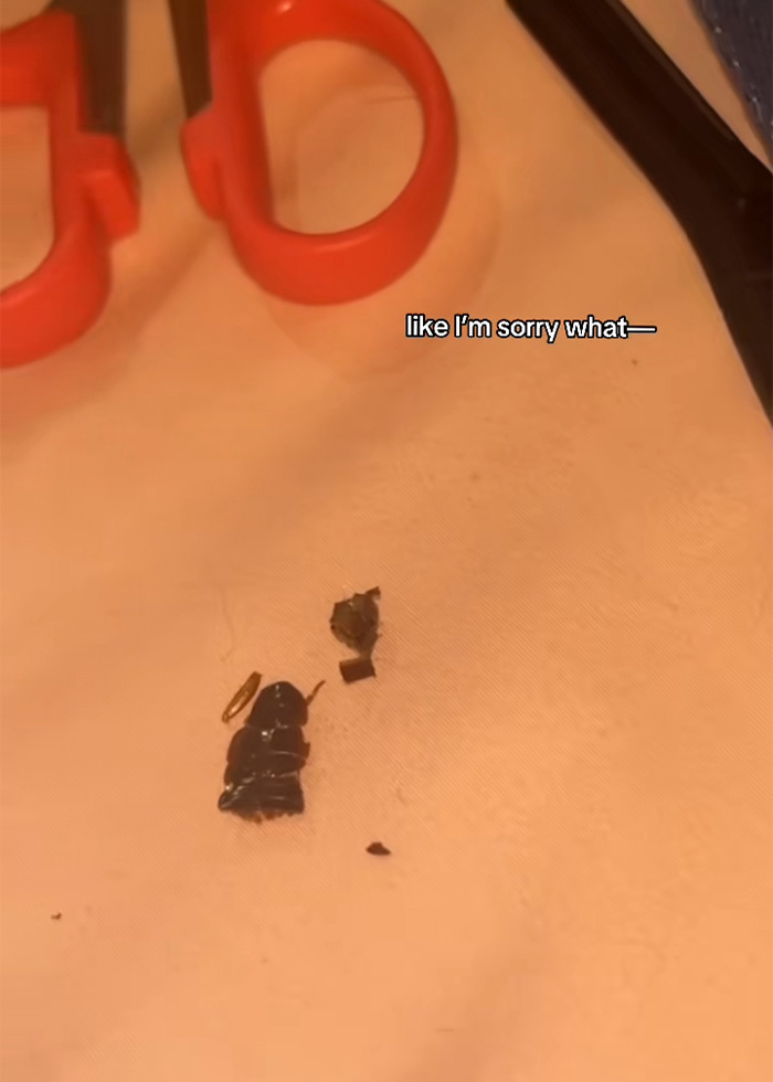 "That Is Witchcraft": Bride Receives Foreboding Warning After Revealing What Tailor Sewed Into Her Wedding Dress "That Is Witchcraft": Bride Receives Foreboding Warning After Revealing What Tailor Sewed Into Her Wedding Dress