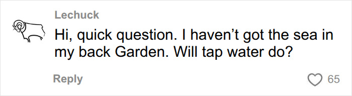 A comment on Brooklyn Beckham's cooking video, asking if tap water will do instead of sea water.