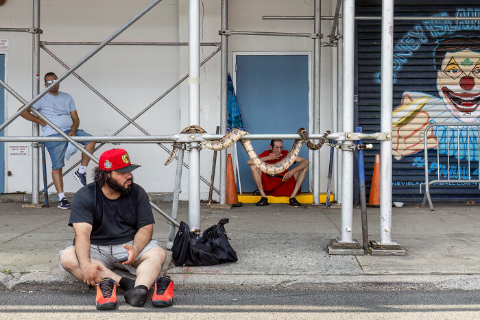 A man with a red hat sits on the street while a large snake drapes over scaffolding, a captivating street photography moment.