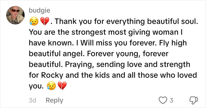 A TikTok comment from budgie offering thanks and expressing sadness for the TikToker's goodbye video. A TikTok comment from budgie offering thanks and expressing sadness for the TikToker's goodbye video.