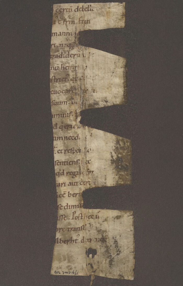 A long, thin, damaged parchment with old script, a delicate historical artifact that has survived through centuries.