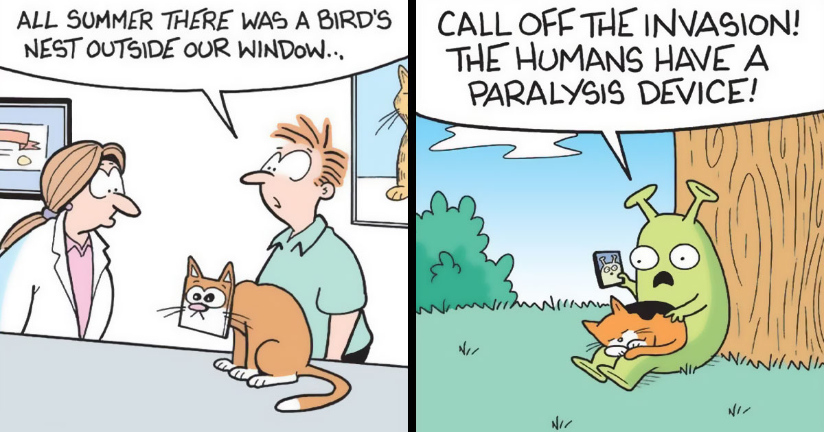36 Funny Cat Comics That Capture The Things Only Cat Owners Understand