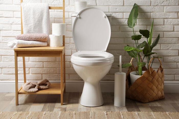 A clean, modern bathroom with an open toilet lid, showing unhinged house rules about toilet etiquette.