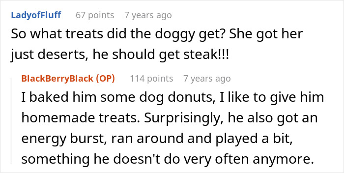 Comment discussing dog treats for the senior dog who was kicked by MIL, noting homemade donuts and an energy burst. Comment discussing dog treats for the senior dog who was kicked by MIL, noting homemade donuts and an energy burst.