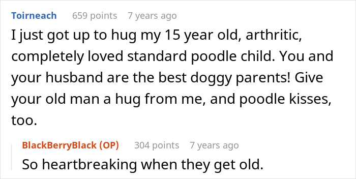 Comment about a 15-year-old arthritic poodle, highlighting the bond between owners and their senior dog after the MIL incident. Comment about a 15-year-old arthritic poodle, highlighting the bond between owners and their senior dog after the MIL incident.